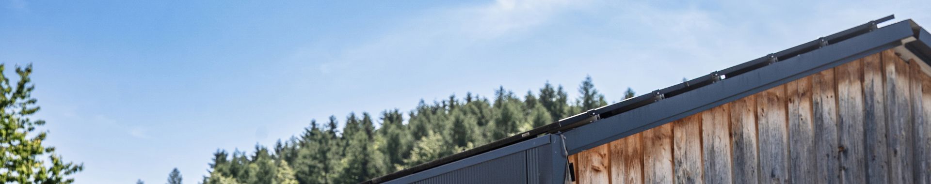 Ansicht des Daches eines Holzhauses mit Bäumen im Hintergrund.